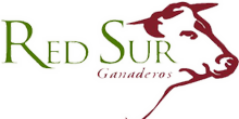 logo Red Sur